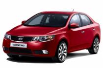 cerato