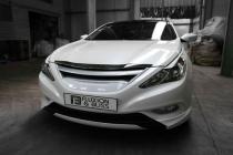 Hyundai Sonata 2010 Решетка F