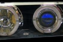 PLG-2008048