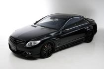 Аэродинамический обвес Wald Sports Line Black Bison Edition