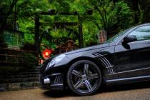 Крылья передние Wald Black Bison Edition