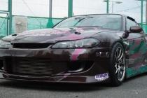 Hippo Sleek