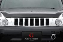 Решетка радиатора Genefield хром