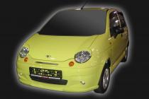 Matiz  ant