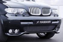 Аэродинамический обвес Hamann