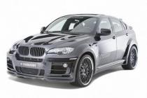 Hamann Tycoon