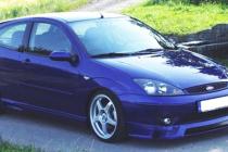 fokus 2003